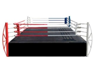 Ring de Boxeo Personalizado con su logo 4x4 m